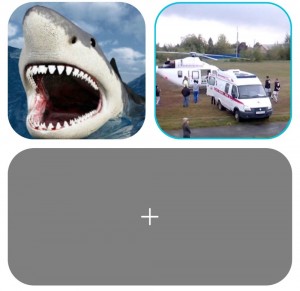 Create meme: white shark, some sharks, white shark jaws
