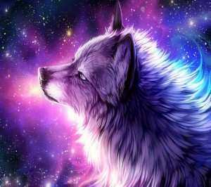 Create meme: wolf, galaxy wolf, space wolf