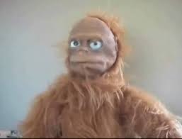 Create meme: the muppet monkey, the monkey king 1996, bald chewbacca