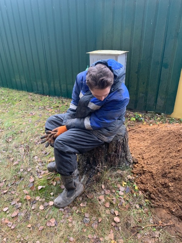 Create meme: nature , gardeners plant trees, work in the village