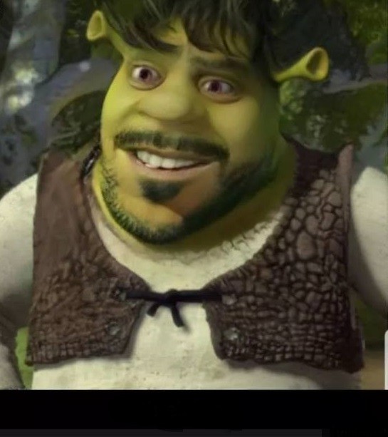 Create meme: Shrek Will Smith, Shrek the man, Shrek from the cartoon