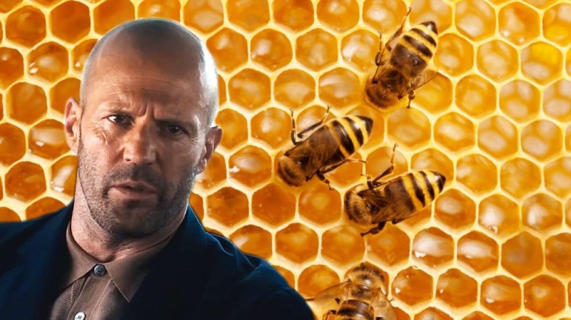 Create meme: Jason Statham , Jason Statham is a beekeeper, The Beekeeper movie