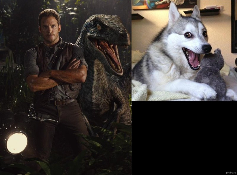 Create meme: jurassic world 3, Jurassic Park, Chris Pratt Jurassic world