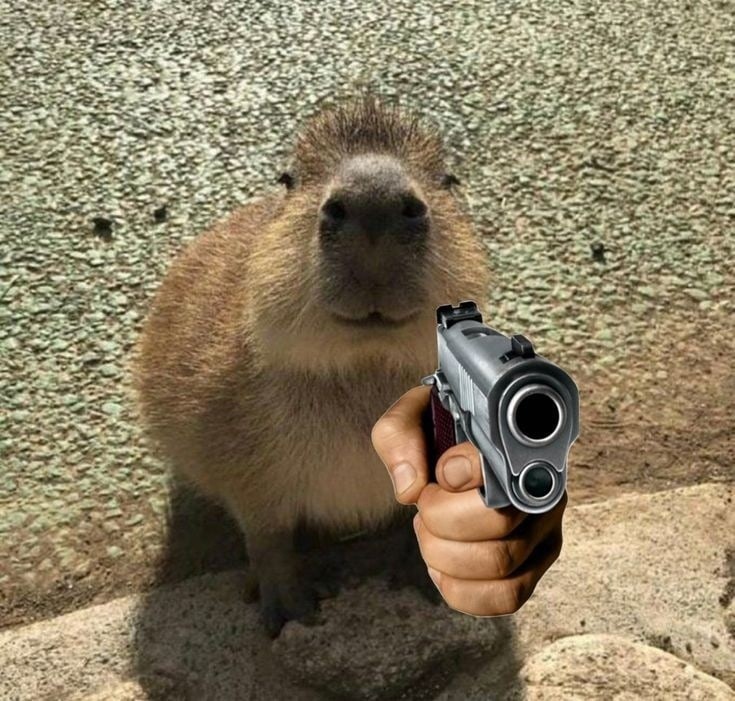 Create meme: cute capybara, July 26, capybara meme