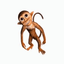 Create meme: monkey 3d, animation of a dancing monkey, monkey jester