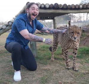 Create meme: to stroke a Cheetah, Cheetah boy, People