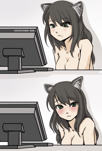 Cat Girl  Know Your Meme