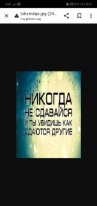 Создать мем: текст, никогда не сдавайся и увидишь, никогда не сдавайся и ты увидишь