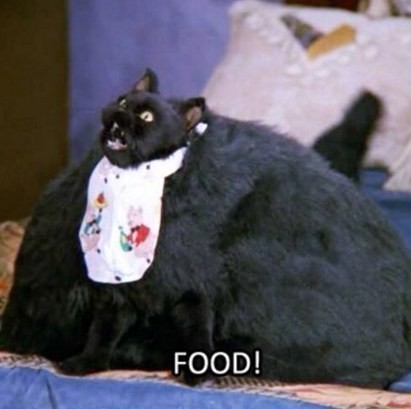 Создать мем: кот салем сабрина, жирный кот салем, салем кот из сабрины