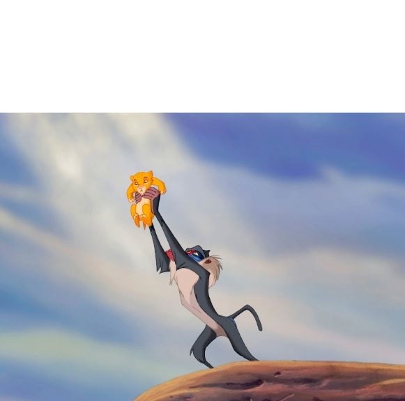 Create meme: the lion king birth of Simba, The lion king holds a simba, Simba the lion king