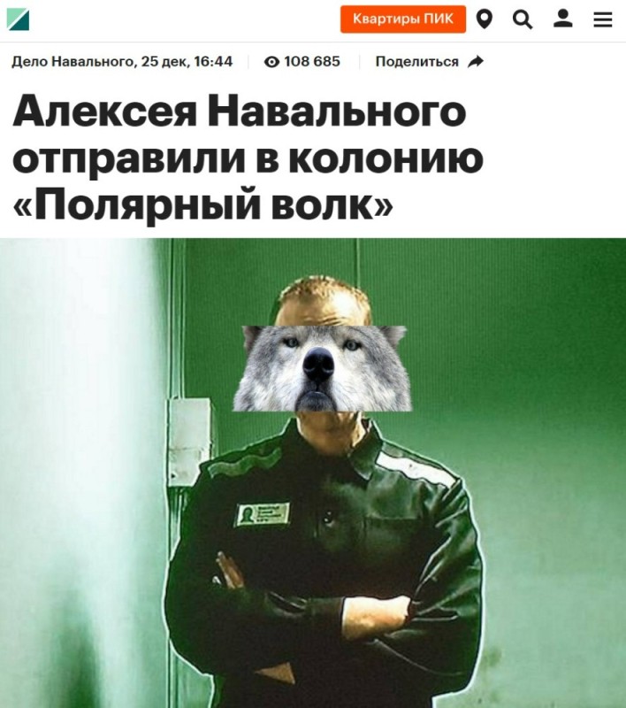 Создать мем: алексей анатольевич навальный, волки позорные, алексей навальный