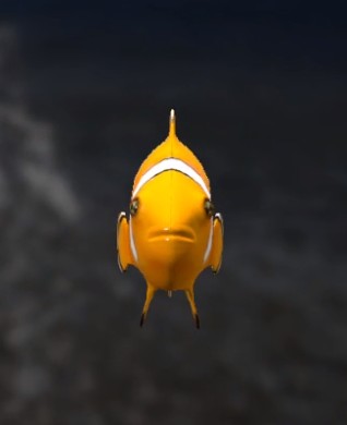 Create meme: fish , fish discus, clown fish