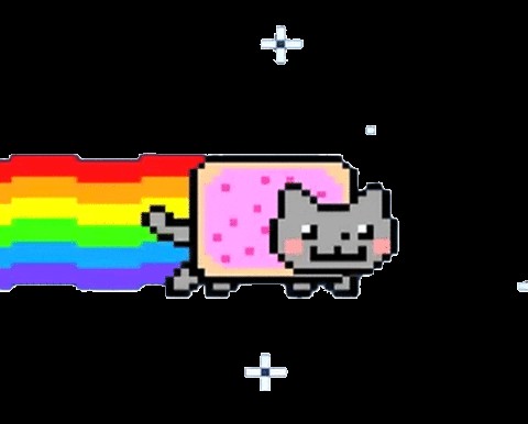Create meme: nyan cat , nyan kat, cat with a rainbow