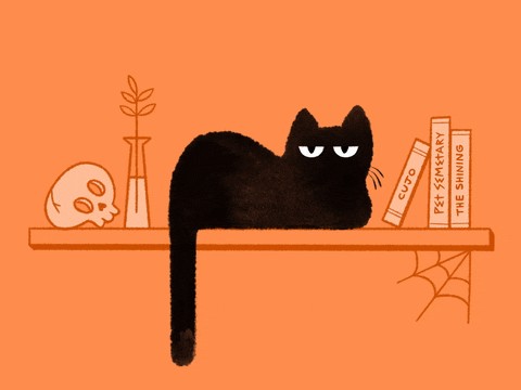 Создать мем: хэллоуин кот, кошка, black cat