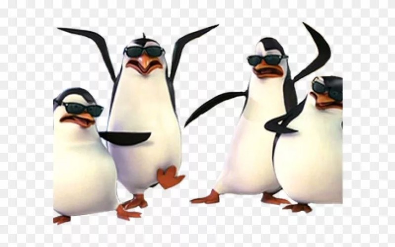 Создать мем: пингвины из мадагаскара прапор, пингвины из мадагаскара шкипер, пингвины мадагаскара