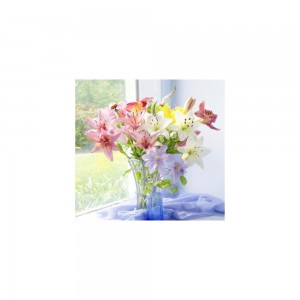 Create meme: postcards happy birthday Lily, flower vase, flowers