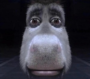 Create meme: meme donkey shrek, donkey from Shrek meme, donkey meme