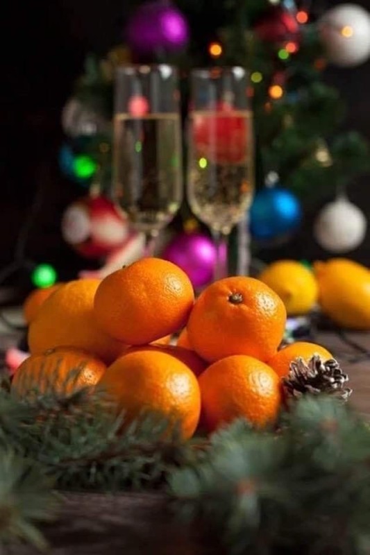 Create meme: The tangerine tree, tangerine tree, new year tangerines