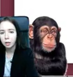 Создать мем: человек, обезьяна человек, умная обезьяна