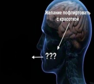 Создать мем: человек, мозг и сознание, головной мозг