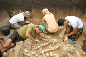 Create meme: archaeological excavations, archaeological finds, archaeologist