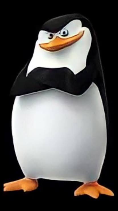 Create meme: penguin from Madagascar, the Madagascar penguins, skipper the penguin