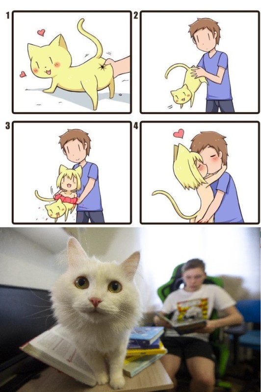 Создать мем: кошки, смешной белый кот мем, greenteaneko комиксы