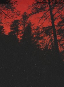 Create meme: red aesthetic, forest