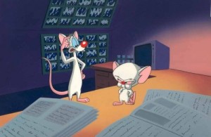 Create meme: pinky and the brain, pinky and brain, Pinky and brain