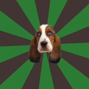 Создать мем: создать мем, basset, beagle puppy