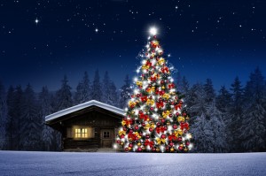 Create meme: new year, Christmas tree, Christmas winter