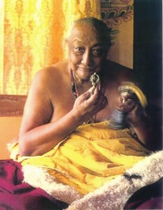 Создать мем: ньингма, kyabje dilgo khyentse rinpoche, дилго кхьенце ринпоче далай лама