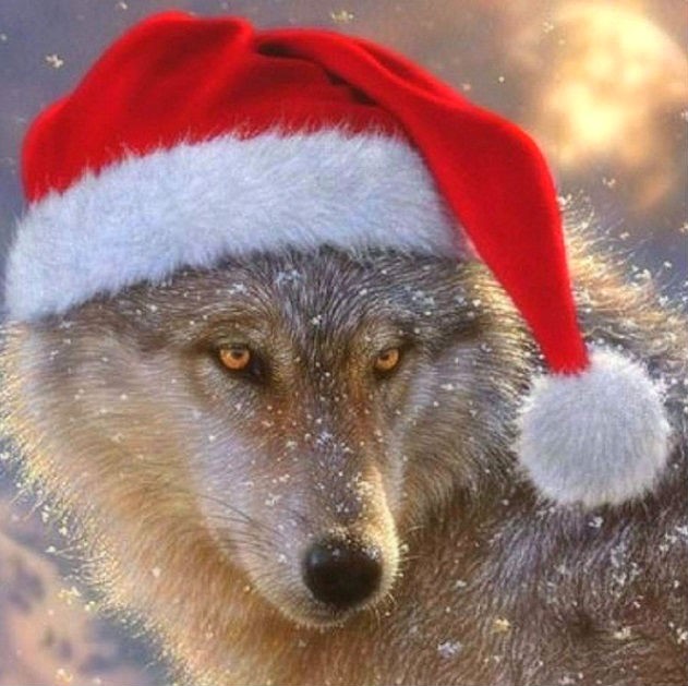 Create meme: New Year's Wolf, The wolf under the tree, The wolf in the New Year's hat