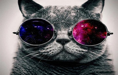 Создать мем: кот в темных очках, кот с очками космос