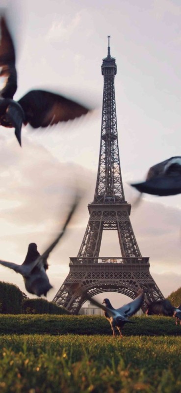 Create meme: Eiffel tower , Paris , Eiffel tower France