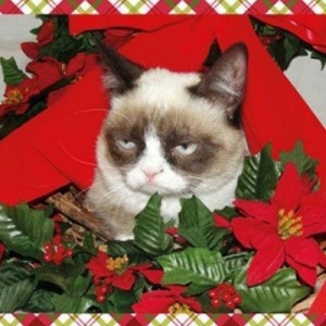 Create meme: meme generator, grumpy cat meme, grumpy cat christmas
