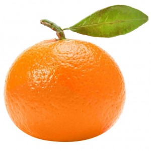 Create meme: orange, Mandarin on white background, Mandarin
