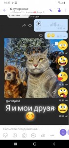 Создать мем: кот селфи, селфи кота на фоне собак, животные