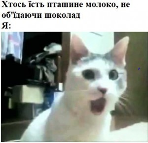 Создать мем: удивленный котэ, кот кот, кот в шоке