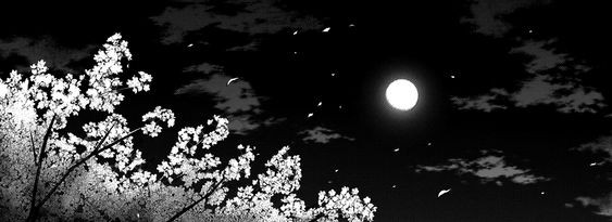 Create meme: blossoming sakura manga, manga aesthetics sakura, sakura black and white anime