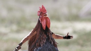 Create meme: meme cock, angry chicken meme, rooster