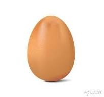 Создать мем: яйца брама, яйцо инкубационное, пластиковое яйцо