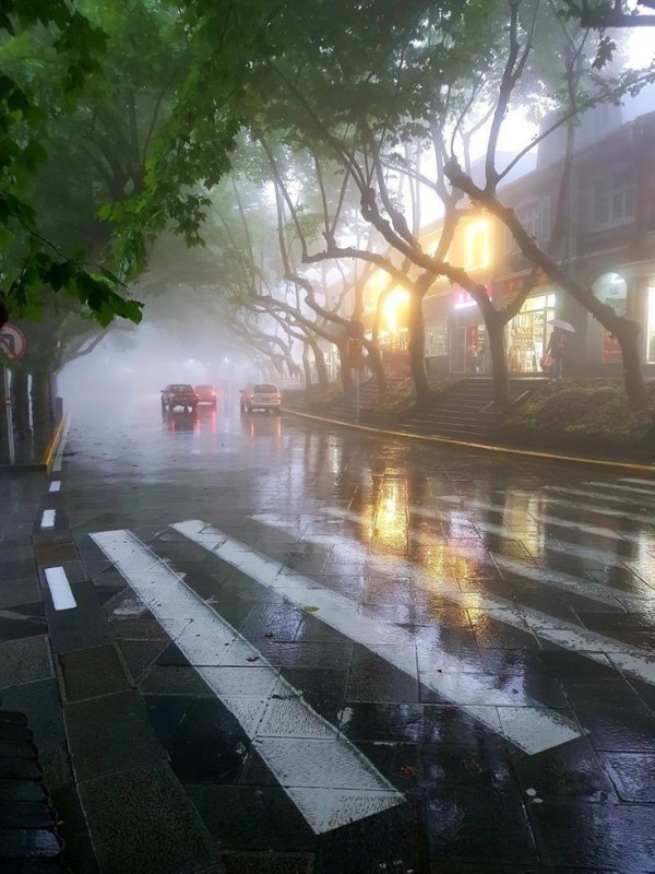 Create meme: road fog , rainy morning, morning after the rain