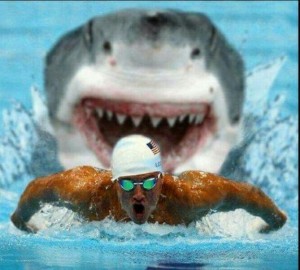 Создать мем: спортивное плавание, акула, белые акулы