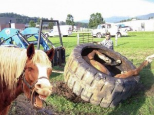 Создать мем: подборка приколов, смешные деревенские картинки, horse name