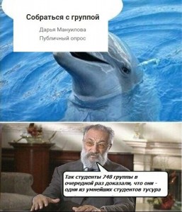 Создать мем: Дельфин, дельфины, мем