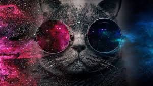 Создать мем: кот в космических очках, кот с очками космос