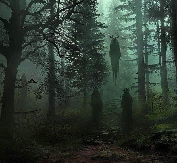 Create meme: creepy forest, the forest is scary, dark forest