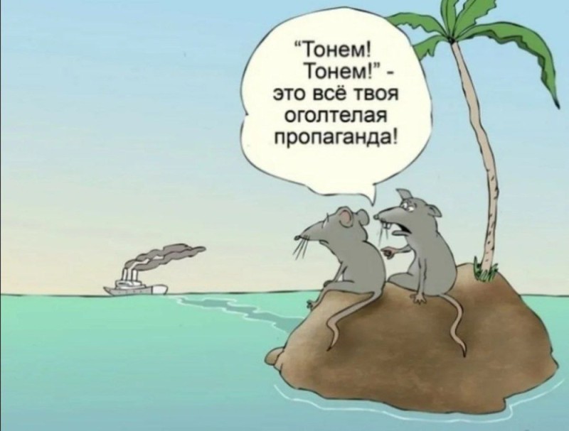 Create meme: Rats from the ship, jokes caricatures, humor 