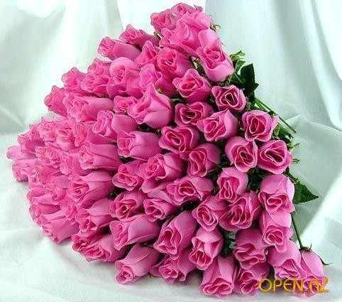 Create meme: postcard roses, the most beautiful flowers for a girl, beautiful flowers 
